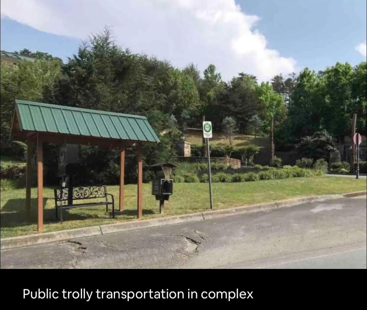 Condo With Pool Near Dollywood Pigeon Forge Buitenkant foto